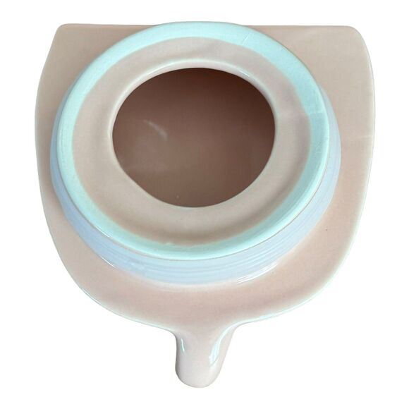 Rae Dunn Canister OINK Pink Pig Cookie Jar Lid Farmhouse Rustic HTF New 2022 - Picture 10 of 15